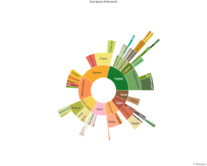Aroma wheel istria