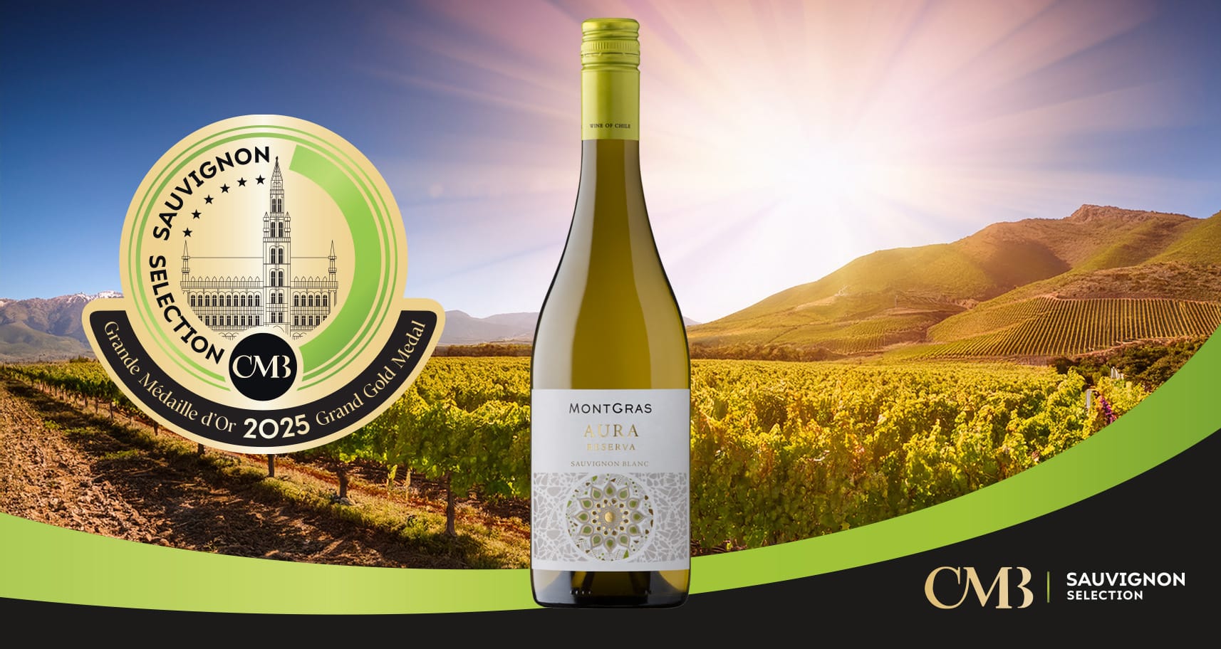 Sauvignon Selección 2025: Chile triunfa, Castilla y León se impone   